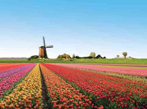 A Few Good Challenges - Brussels to Amsterdam